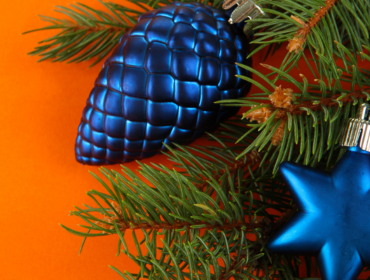 Chiusura per Festività Invernali